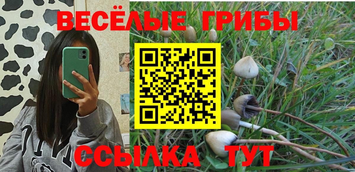 Псилоцибиновые грибы Psilocybe Симферополь