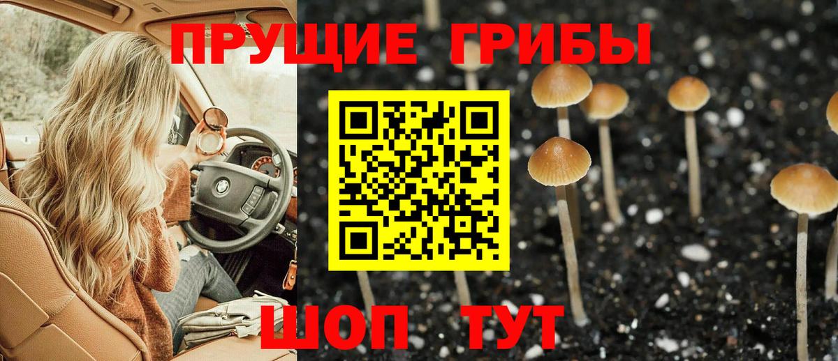 Симферополь  Псилоцибиновые грибы прущие грибы  Вход с VPN 